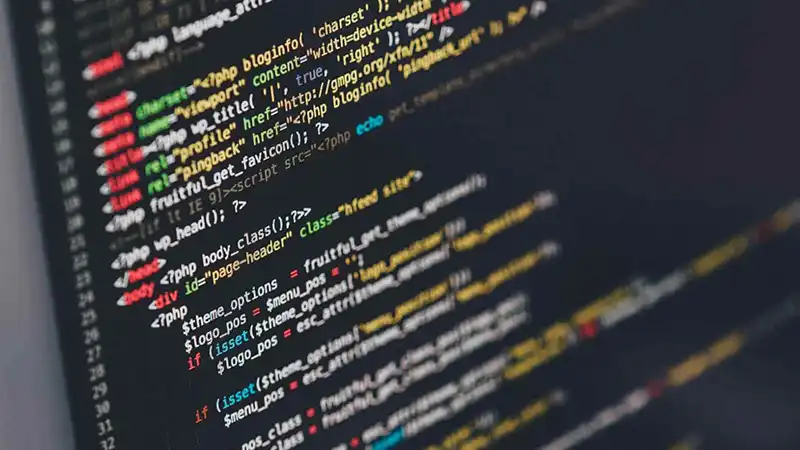 Web Coding and Apache Basics.webp